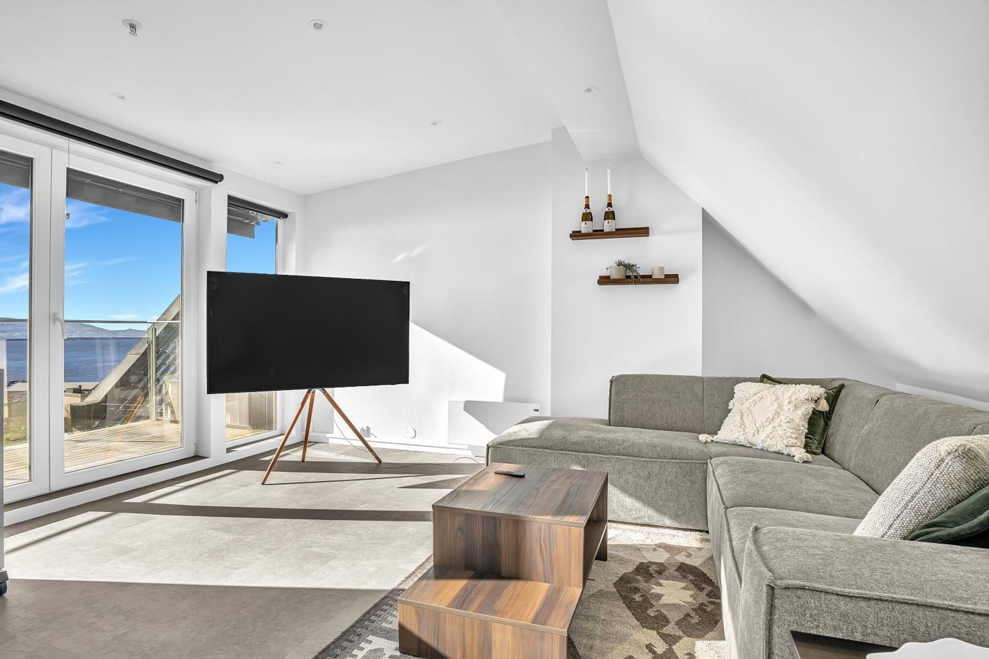 Penthouse Apartment